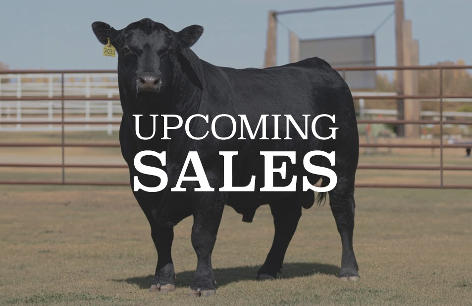 upcoming sales