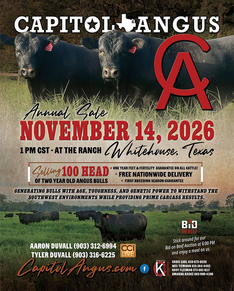November 14 Sale